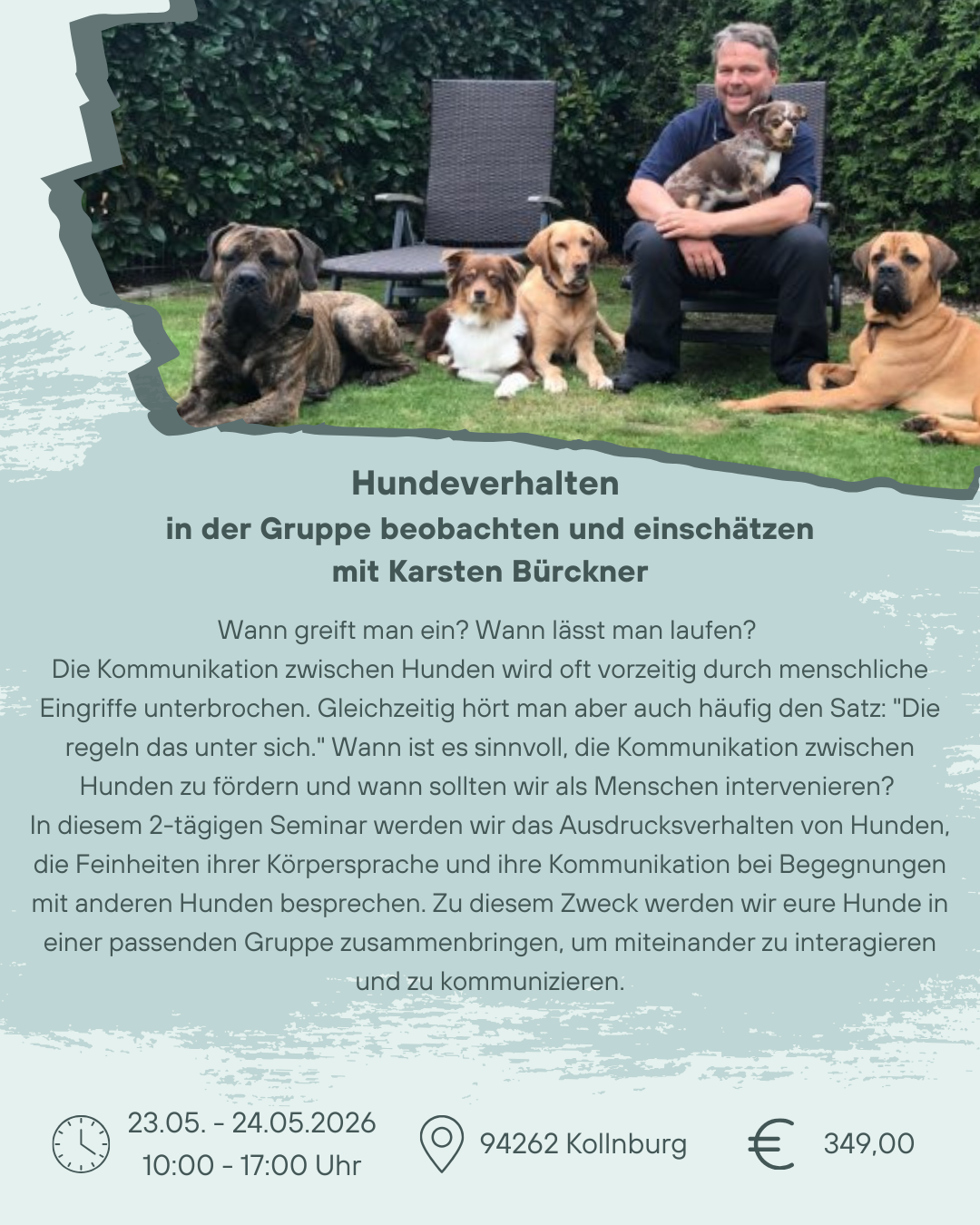 Insta Beitrag Hundeverhalten(1)
