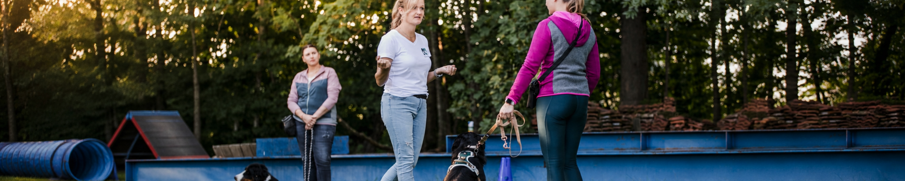 Hund und Halter beim Spaziergang in der Natur