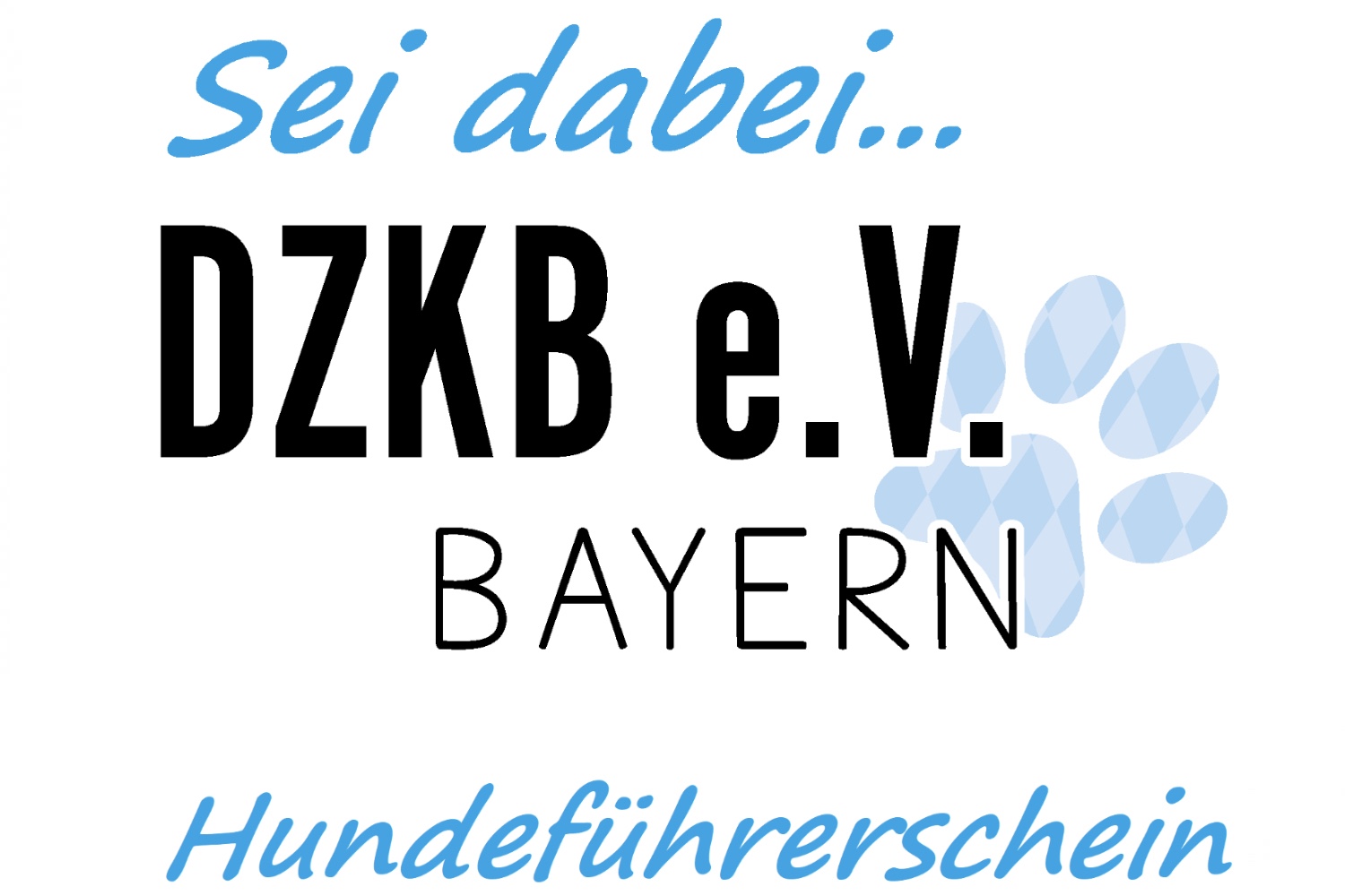 Mensch und Hund beim Alltagstraining